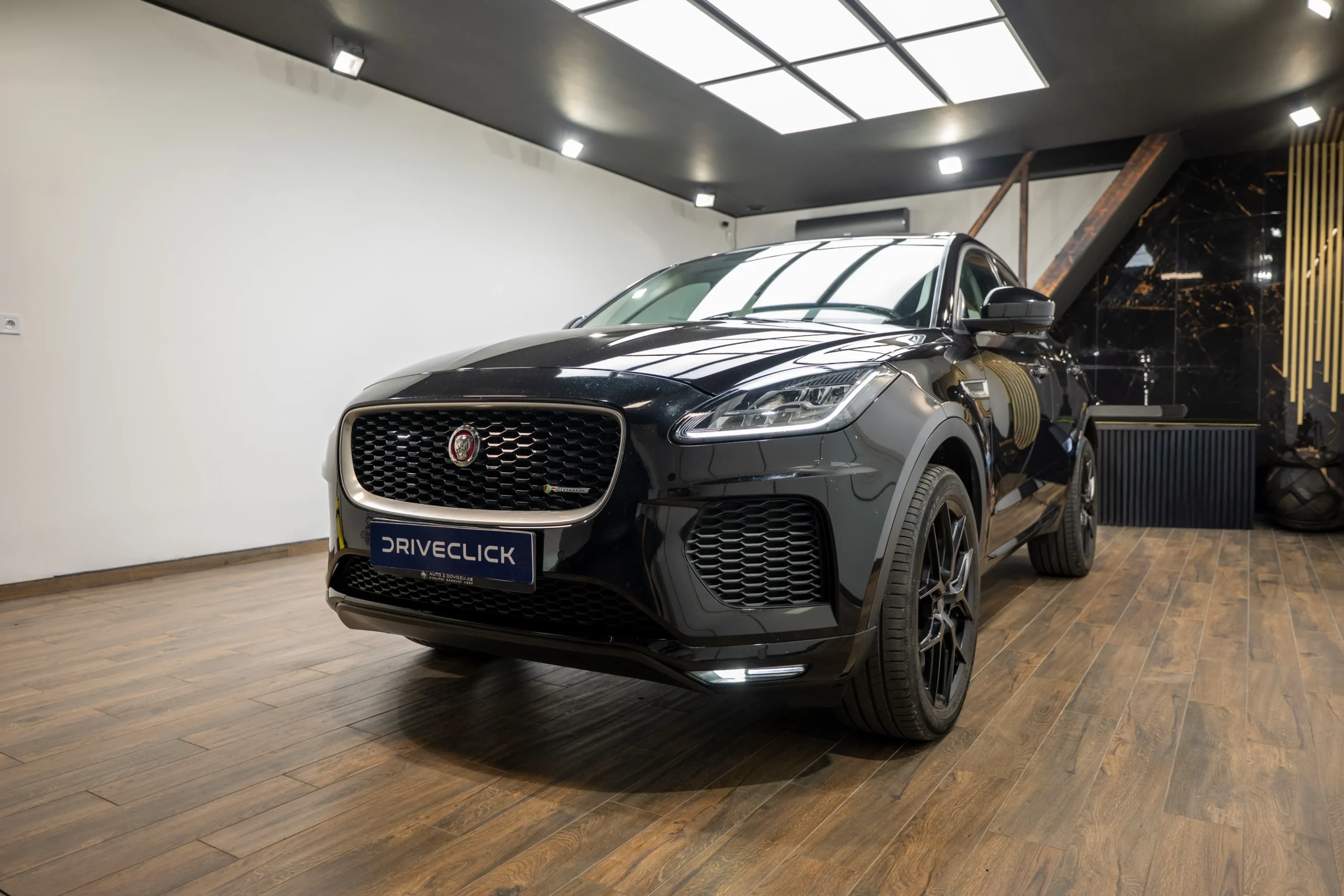jaguar-11