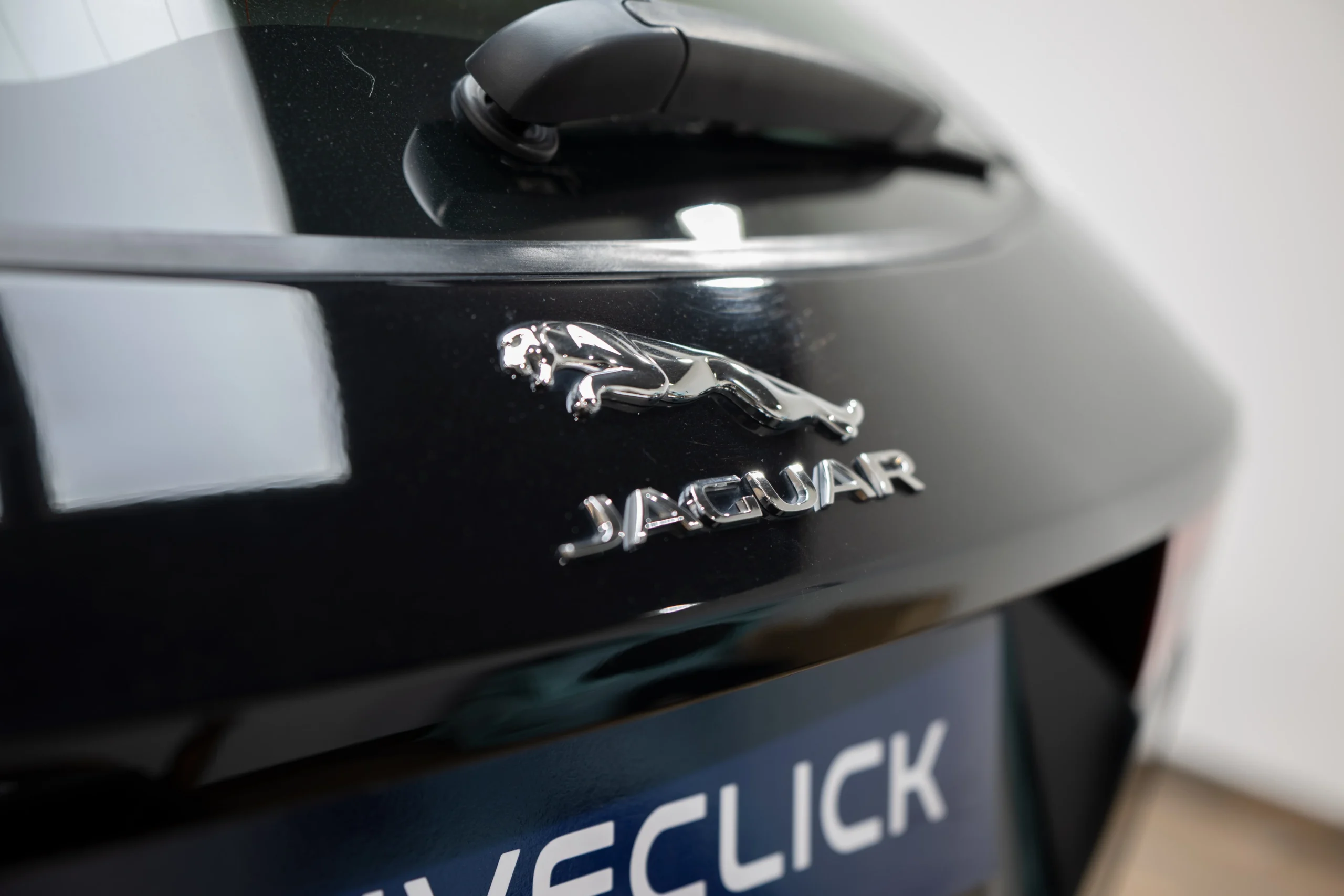 jaguar-16